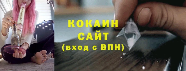 дмт Дмитровск