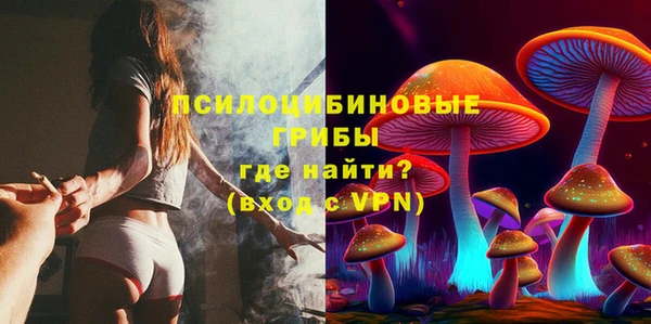 дмт Дмитровск
