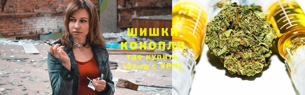 дмт Дмитровск