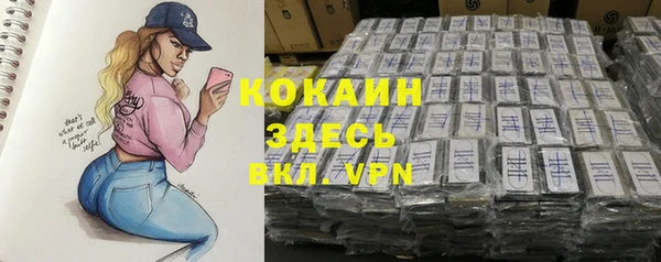 дмт Дмитровск