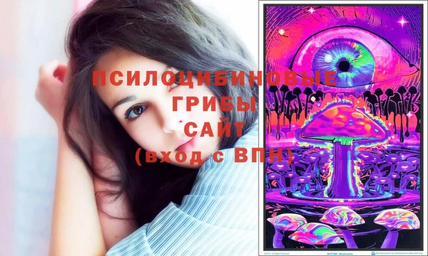 дмт Дмитровск