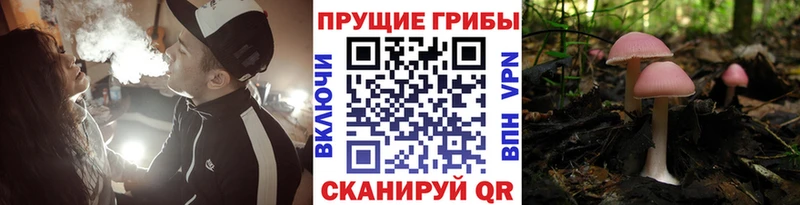 Купить  Черняховск  Галлюциногенные грибы ЛСД 